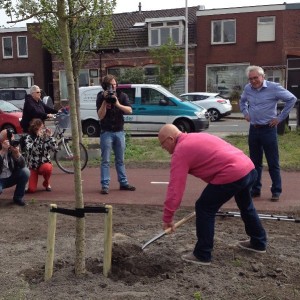 Wethouder Bal plant boom